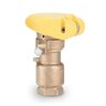 Rain Bird Quick Coupling Valve 3/4 in. FIPT Inlet 2 pc. Body Double Track Key Lug with Yellow Rubber Locking Cover