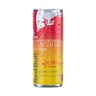Red Bull Energy Drink Winter Edition Fiji Apple Ginger 8 oz.