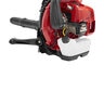 RedMax 75.6cc Backpack Blower