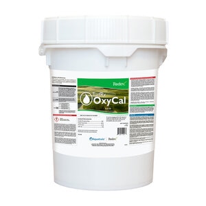 Redox TurfRx OxyCal 0-4-20 14% Ca Fertilizer 20 lb. Pail (QGCY)