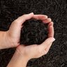 Dyed Black Mini Chip Mulch Bulk (per cu. yd.)