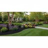 Dyed Black Chip Mulch Bulk (per cu. yd.)