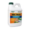 Rid O' Rust RR1 2X Strength Rust Preventer