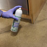 EcoVia CA Contact Aerosol Insecticide 16 fl oz. Spray Can