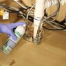 EcoVia CA Contact Aerosol Insecticide 16 fl oz. Spray Can