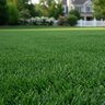 Roots Turf Food Fertilizer 14-0-2 No Phos 50 lb.