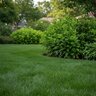 ROOTS Terra-Sorb Fine Grade Fertilizer 10 lb.