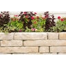 Lee BP Rosetta Kodah Wall 4 pc. Limestone (21 sq. ft./pallet)