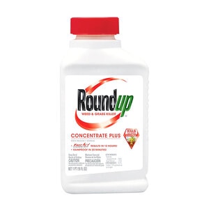Roundup Weed & Grass Killer Concentrate 16 oz.