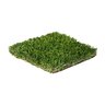 Rymar Everblade Synthetic Turf 80 oz. Face Weight 1.95 in. Emerald Green/Lime Green Blades Golden Thatching