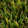 Rymar TriBlend Synthetic Turf 50 oz. Face Weight 1.5 in. Emerald Green/Olive Green/Sand Blades Golden Thatching
