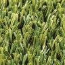 Rymar Synthetic Turf Pet Turf 60 oz. Face Weight 1 in. Emerald/Olive Blades Golden Thatch