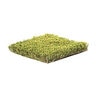 Rymar TriBlend Synthetic Turf 70 oz. Face Weight 1.8 in. Emerald Green/Olive Green/Sand Blades Tan/Green Thatching