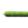 Rymar Pet and Paver 81 Synthetic Turf 55 oz. Face Weight 1 in. Green/Lime Green Blades No Thatching
