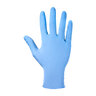 SAS Derma-Lite Glove Powder-Free Nitrile X-Large