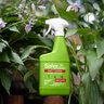 Safer Brand Garden Insect Control Insecticide 24 fl oz. Ready-to-Use Spray Bottle