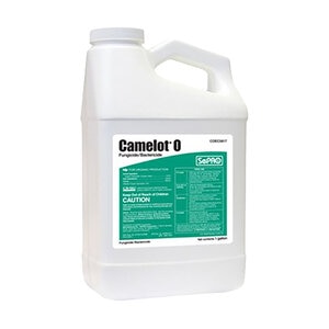 Camelot O Broad Spectrum Fungicide Bactericide 1 gal.