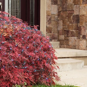 4 x 6 ft. LED Net Light Pure White