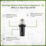 Senninger Medium Flow Pressure Regulator 2 - 20 Gpm 1 in. Fipt X Fipt 40 PSI.