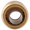SharkBite Max Push Coupling Lead Free Brass 3/4 in.