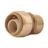 SharkBite Straight Male Push Connector Brass 3/4 in. Push x MIPT