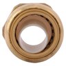 Sharkbite Coupling 3/4 in. x 1 in. Mpt Lead Free