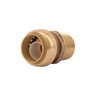 SharkBite Straight Male Push Connector Lead Free Brass 1 in. Push x MIPT