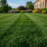 Shaw's 11-2-4 40% CRN AS BIO 2%Ca 2%S 0.85%Fe Turfgrass Granular Fertilizer 50 lb. Bag