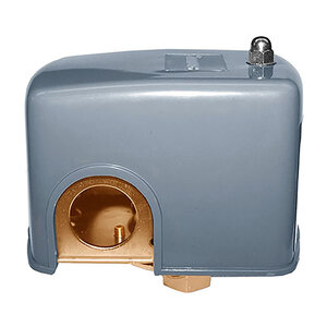 Simmons 30-50 Pressure Switch FPT 1/4 in. 