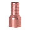 Sioux Chief PEX Barb Adapter 1 in.