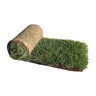 Bluegrass Sod Kentucky Bluegrass (per sq. ft.)