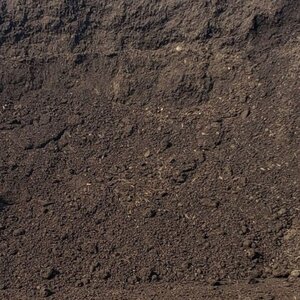 Premium Top Soil Bulk