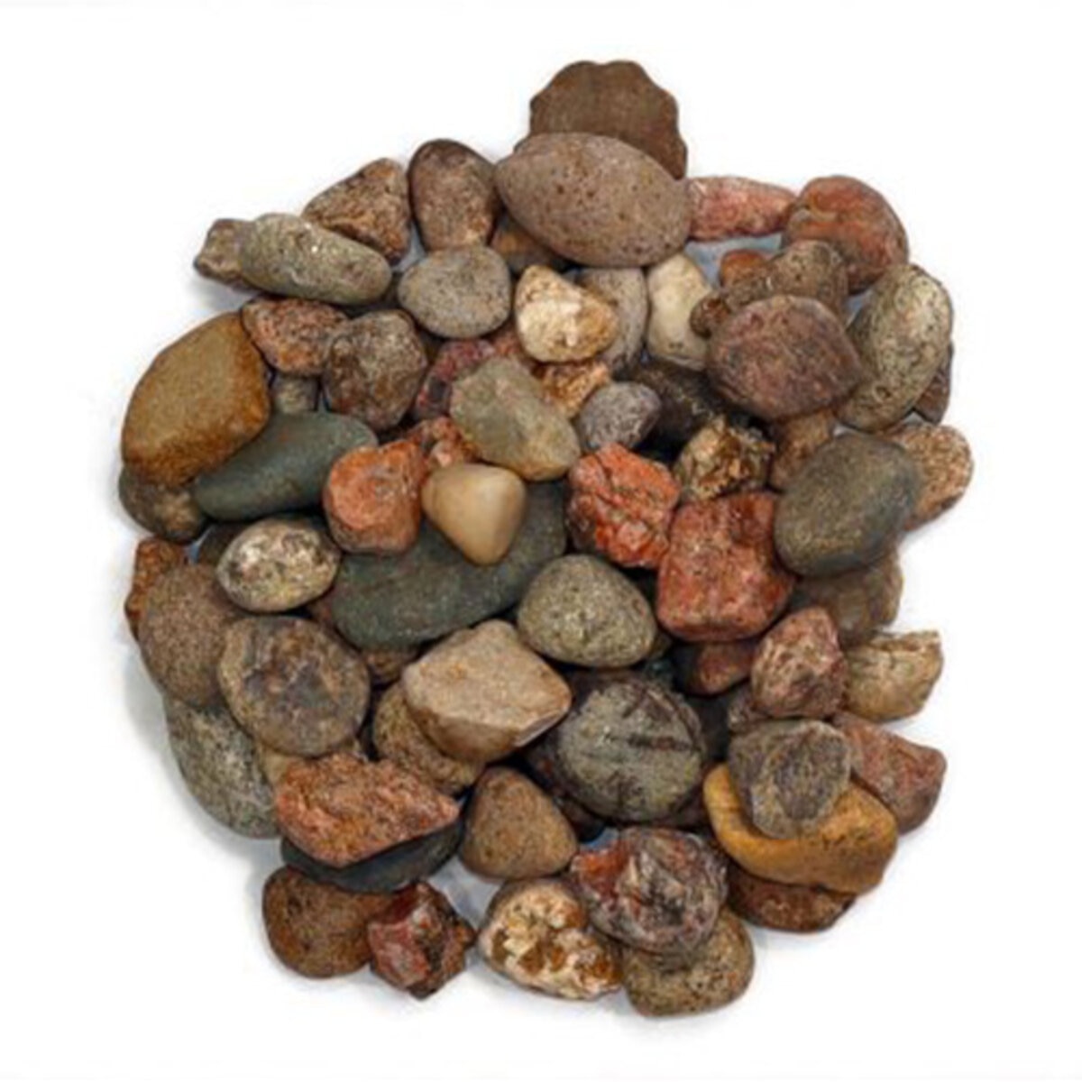 Bulk River Rock Gray Rose 3/4 in | SiteOne US