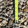 Bulk Iowa Rainbow Rock 3/4 in. (CA11)