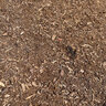 Double Shredded Redwood Mulch Bulk (per cu. yd.)