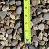 Bulk Iowa Rainbow Rock 3/4 in. (CA11)
