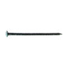 Hot Dip Nail Galvanized 8D 5 lb.