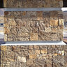 Sawn Thin Veneer Desert Tortise Corners