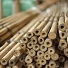 PCP Bamboo Cane 2 ft.