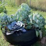 High Caliper Big Bag Bed Jr. Raised Bed Black 36 in. x 12 in. 7.1 Sq. Ft.