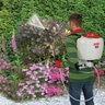 Solo Diaphragm Backpack Sprayer 4 gal.
