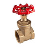 Import Gate Valve 620-025 2-1/2 in.