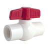 PVC Slip Ball Valve 4 in. 
