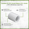 Sch 40 PVC Female Adapter 1/2 in. Socket x FIPT