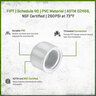 Sch 40 PVC Cap 1 in. FIPT