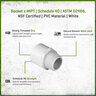 Sch 40 PVC Male Adapter 1-1/4 in. MIPT x Socket