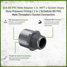 Sch 80 PVC Male Adapter 1 in. MIPT x Socket
