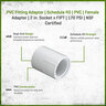 Sch 40 PVC Female Adapter 2 in. Socket x FIPT