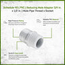 Sch 40 PVC Reducing Male Adapter 3/4 in. x 1/2 in. MIPT x Socket