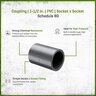 Sch 80 PVC Coupling 1-1/2 in. Socket